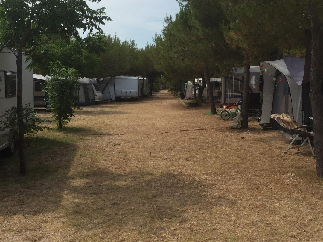 Camp Bakija