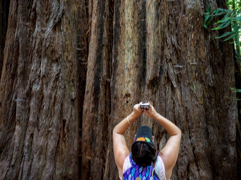 Smart Tours-圣罗莎必去景点