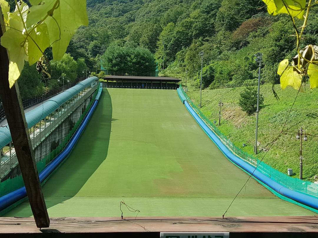 문경산채비빔밥