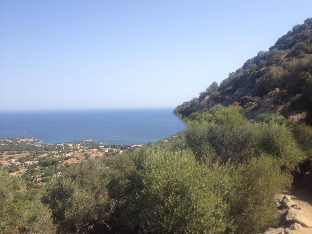 Corbara酒店住宿-A Chiosella