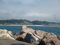 Snug Harbor Resort