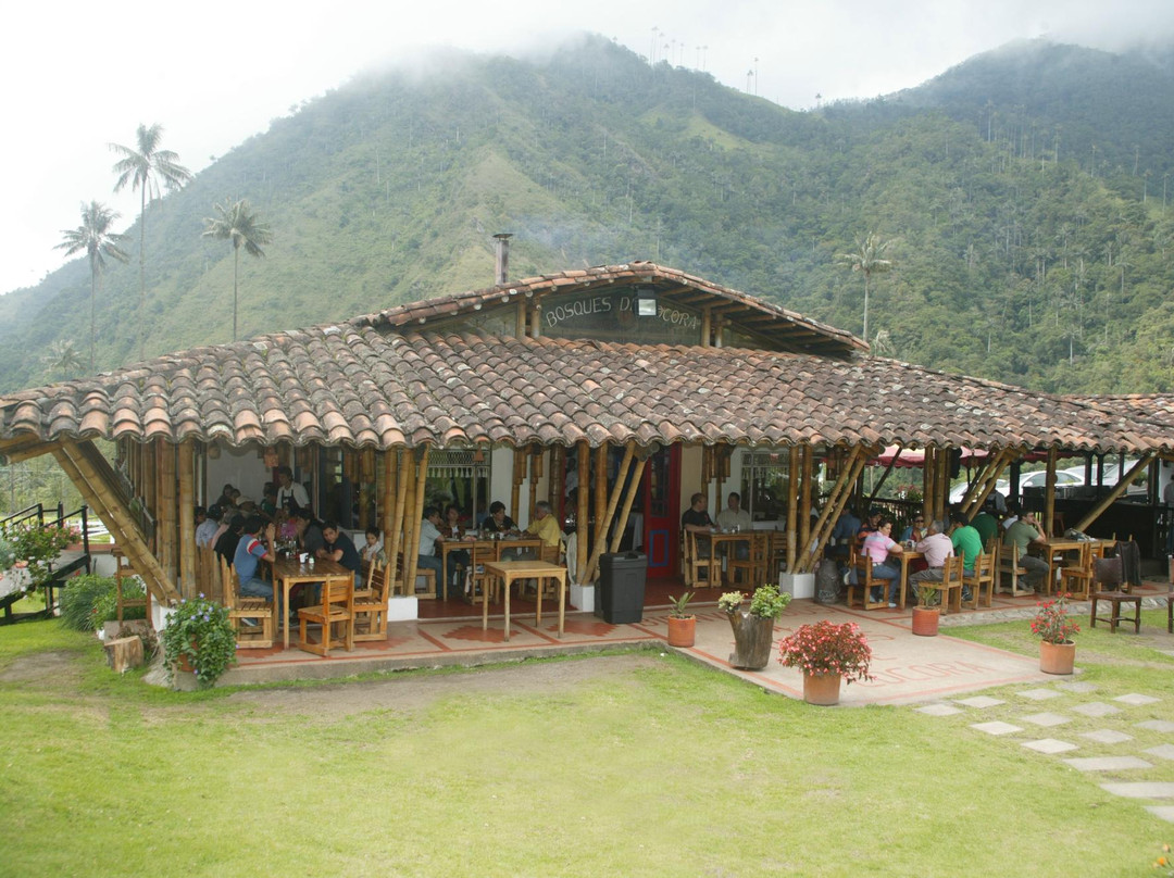 Cocora餐馆和美食-Bosques de Cocora