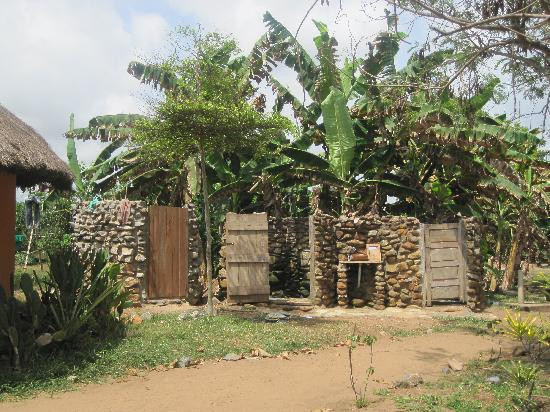 Green Turtle Lodge