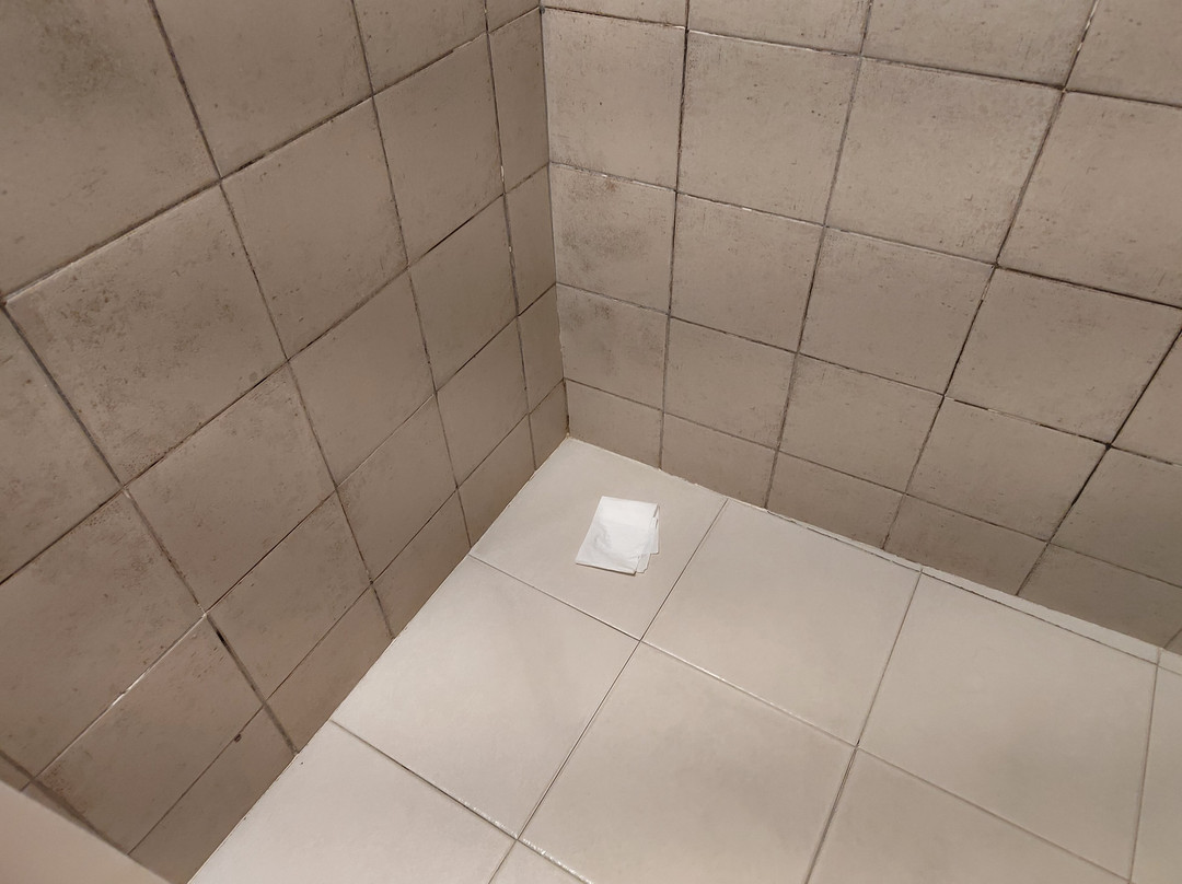 Mision Orizaba主图