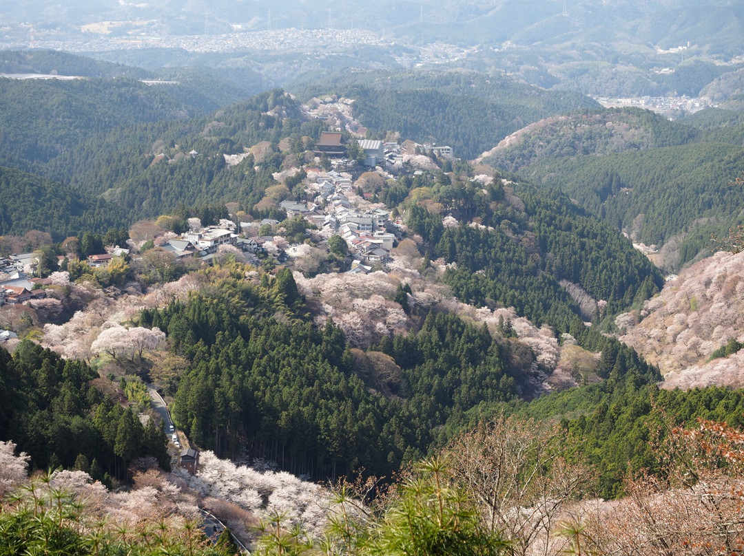 Hanayagura景点图片