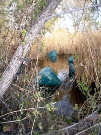 沙漠植物园-凤凰城必去景点