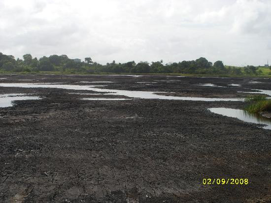 La Brea Pitch Lake-特立尼达必去景点