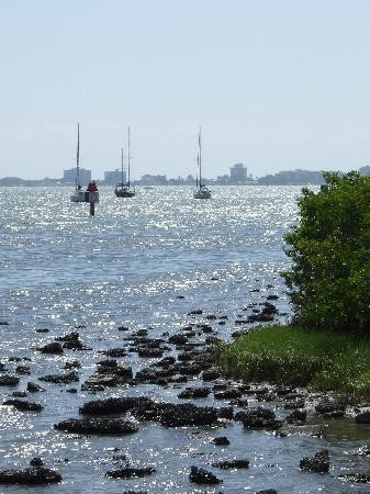 Clam Bayou Nature Park-Gulfport必去景点