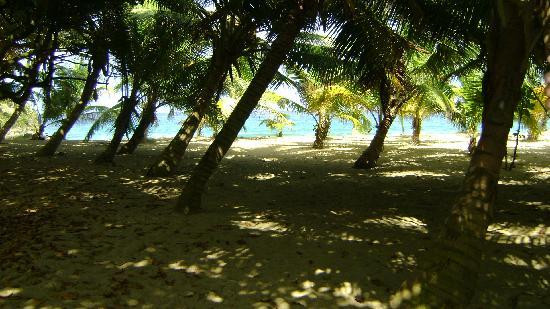 Tunel de Guajataca-Quebradillas必去景点