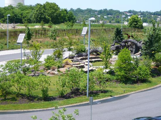 Russell W. Peterson Wildlife Refuge-威尔明顿必去景点