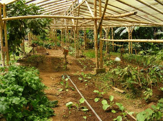 Maquipucuna Reserve-基多必去景点