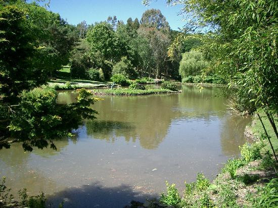 Marwood Hill Gardens景点图片