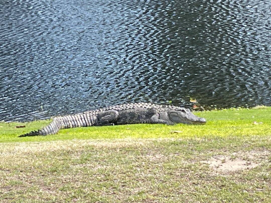Carolina National Golf Club-Bolivia必去景点