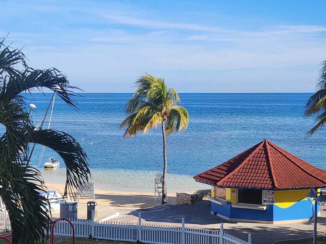 Tour Jamaica Tours-内格里尔必去景点