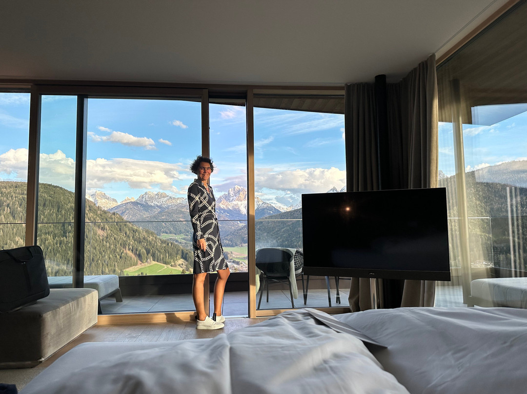 Hotel Alpen Tesitin主图