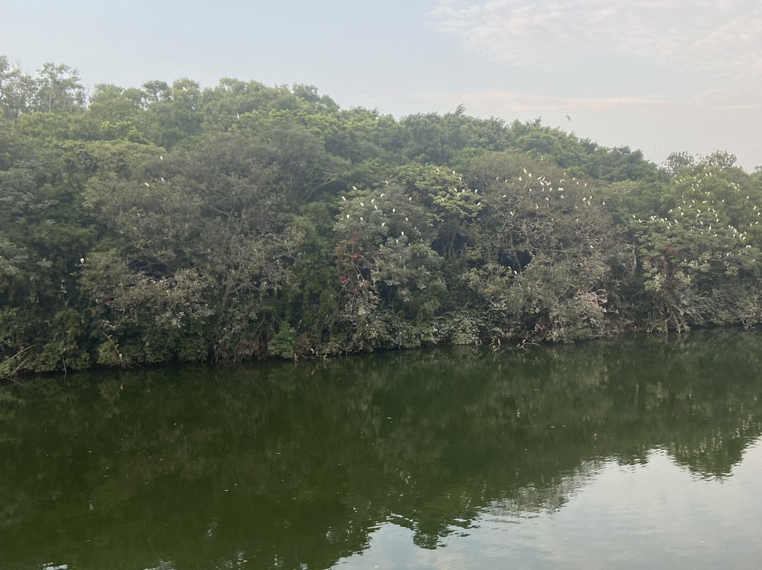 番禺莲花山旅游区景点图片