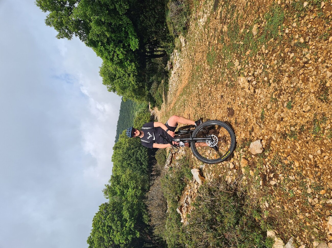 Kefalonia E-Mountain Bike Experience景点图片