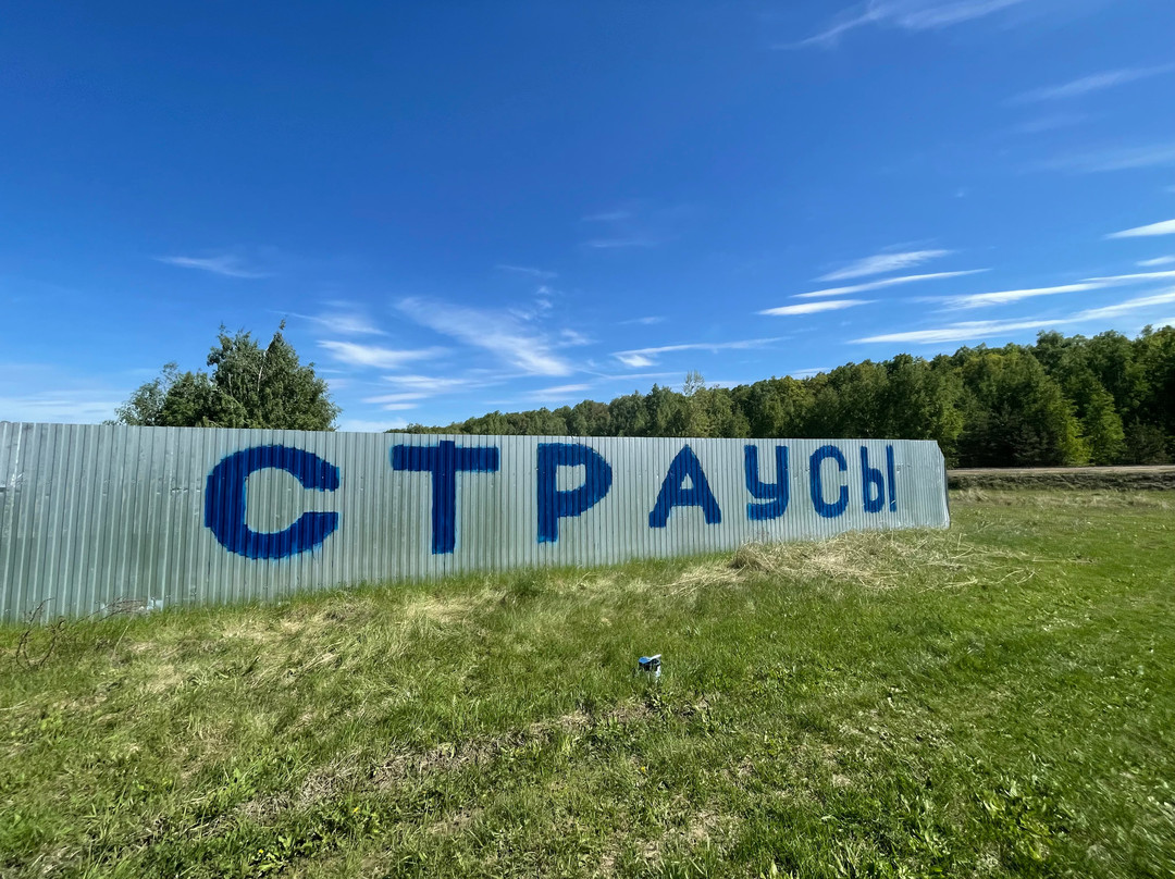 Amusement Park Zoo and Ostriches-Privolzhskii必去景点