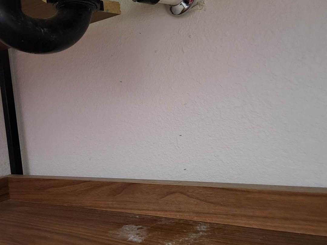 Everhome Suites Corona主图