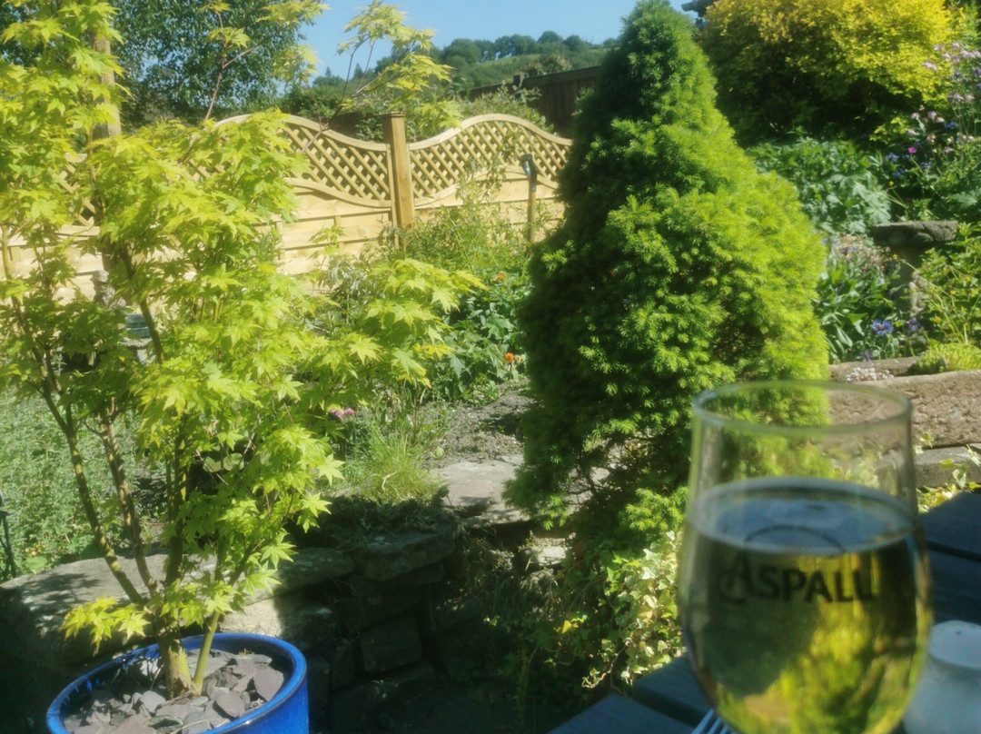 The Whitehall Hotel主图