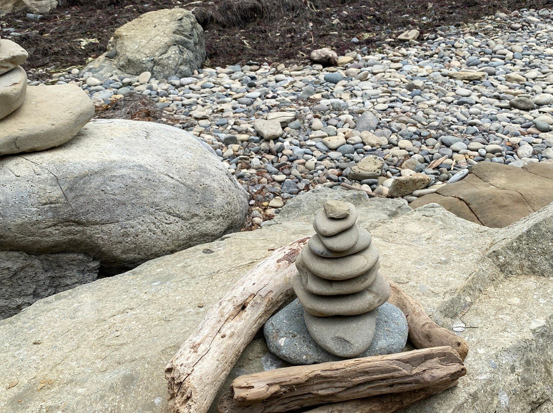 Cabrillo Tide Pools-圣地亚哥必去景点