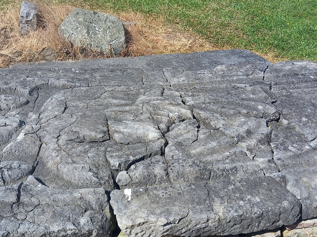 Jerpoint Park景点图片