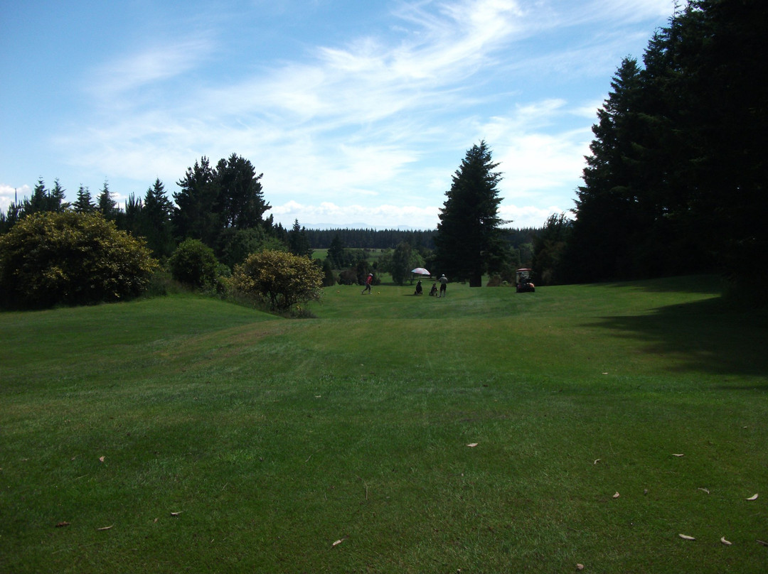 Turangi Golf Club景点图片