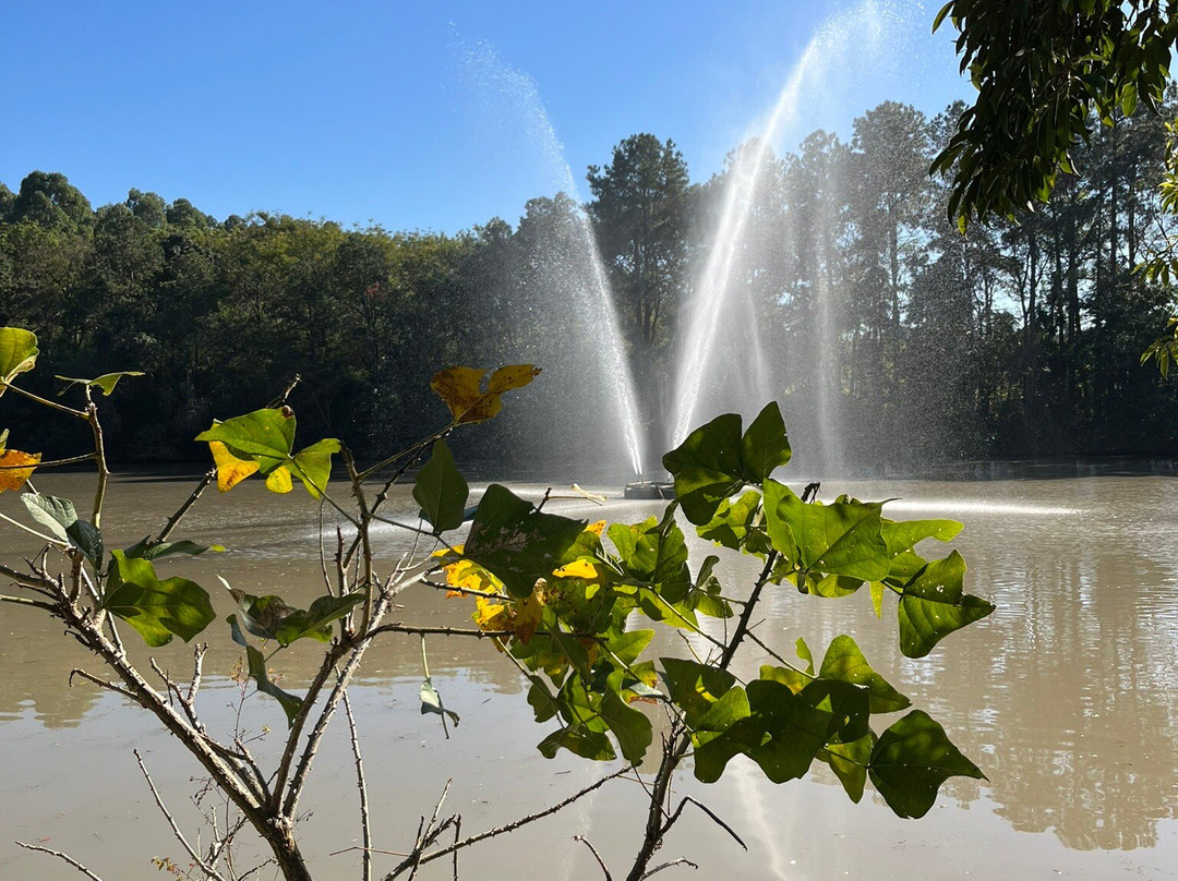 Museu da Agua de Indaiatuba-因达亚图巴必去景点