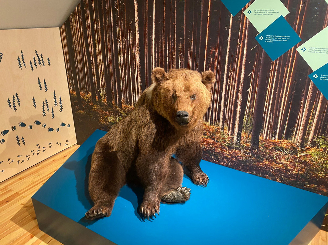 Sagadi Forest Museum-Sagadi必去景点