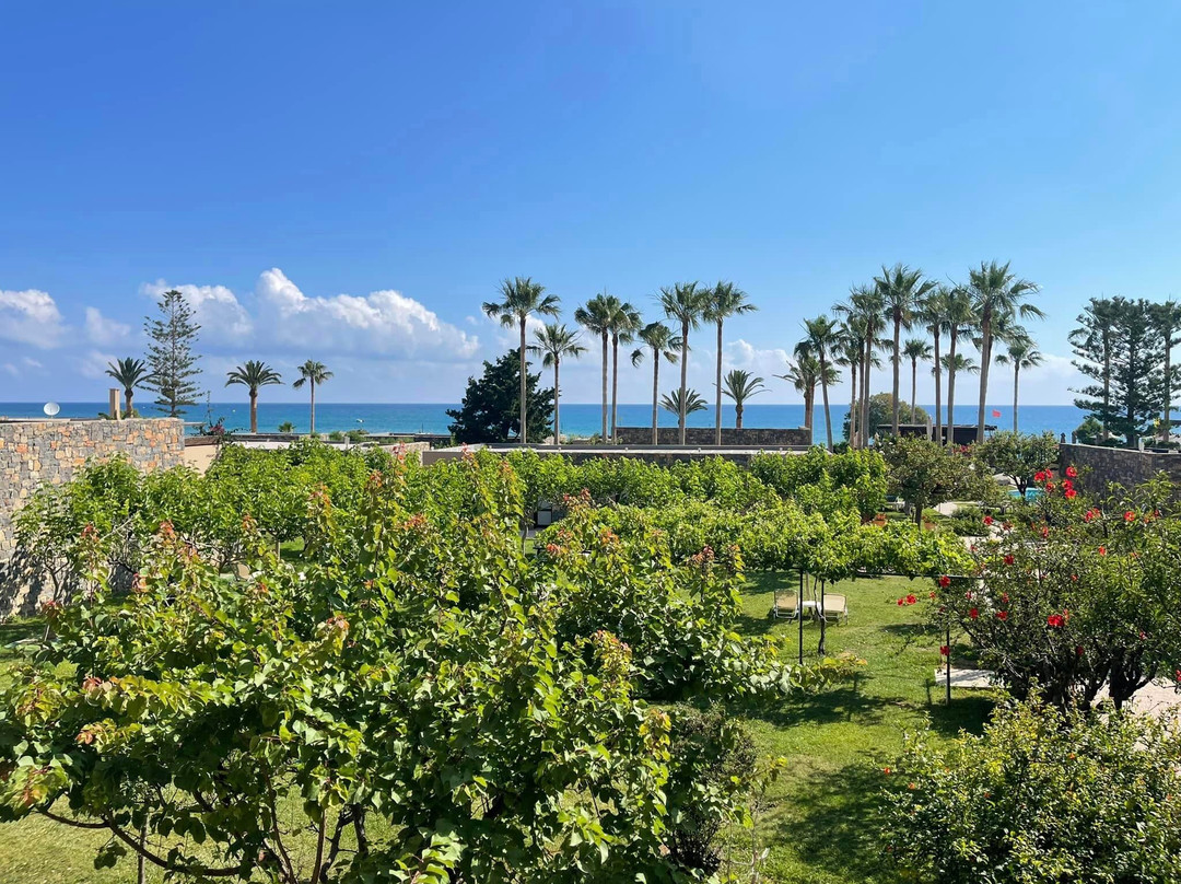Hotel Blue Sea Beach Affiliated by Melia主图