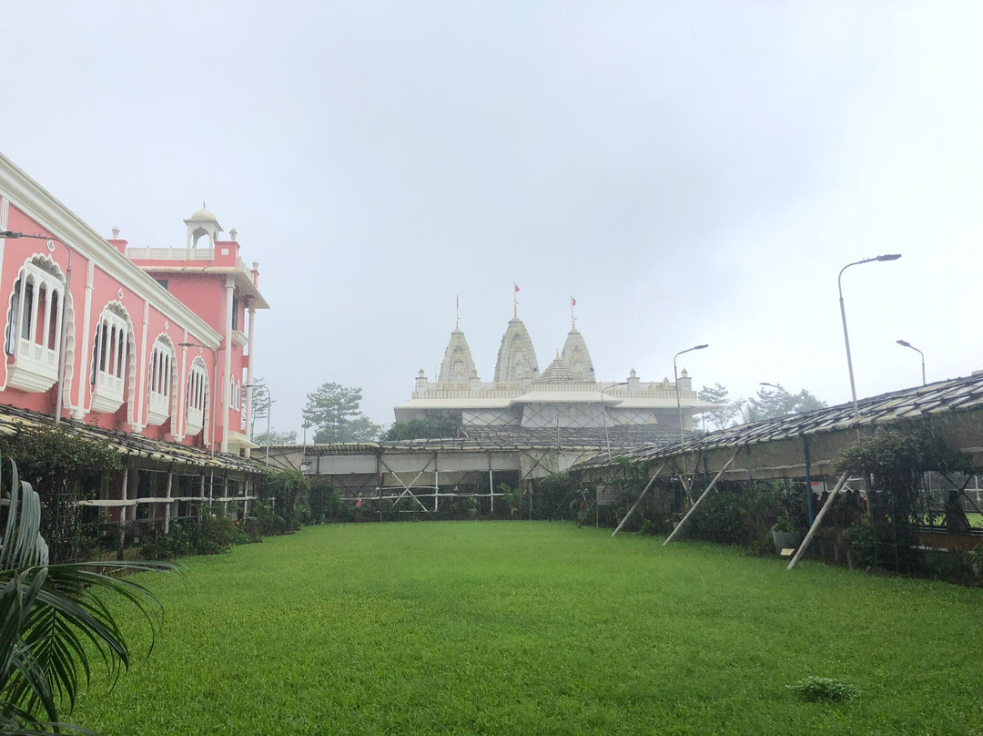 Shree Narayani Dham Temple景点图片