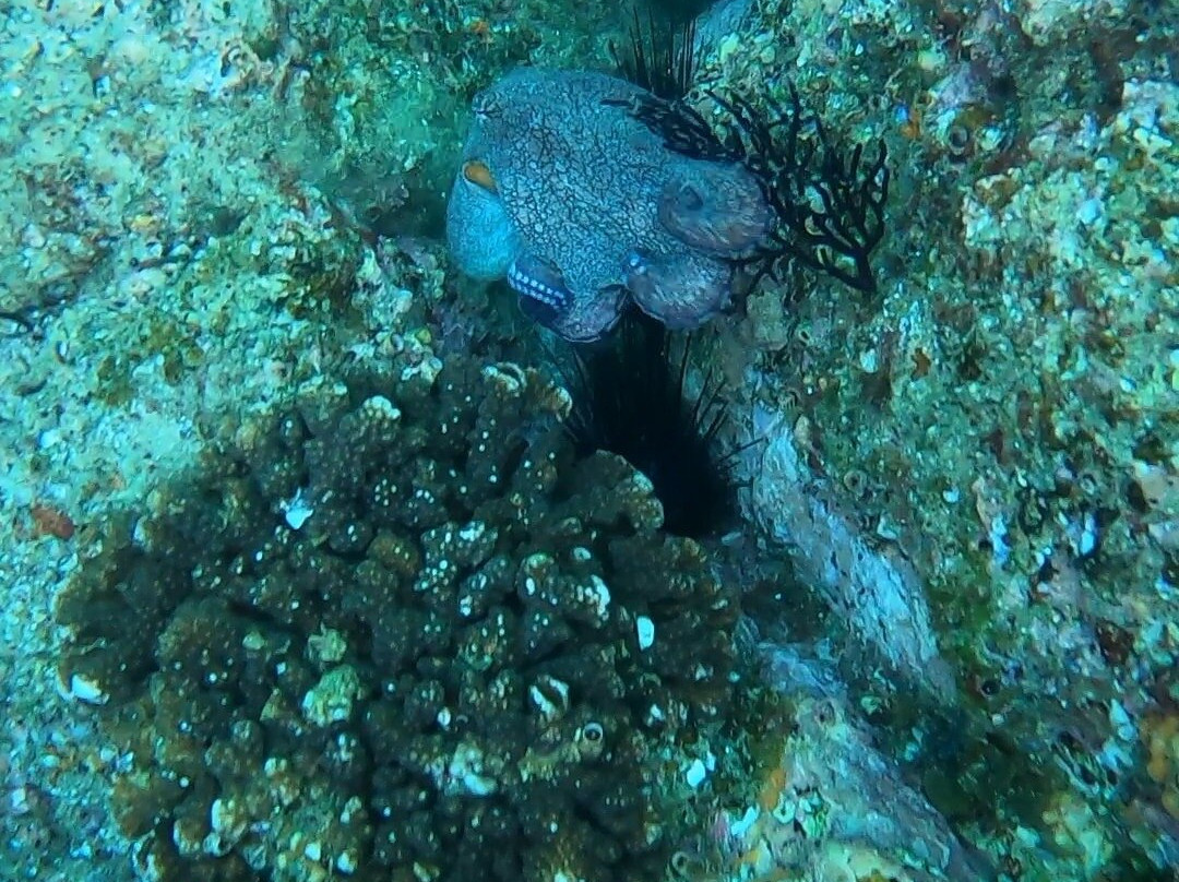 RogerSEABREEZE-卡波圣卢卡斯必去景点