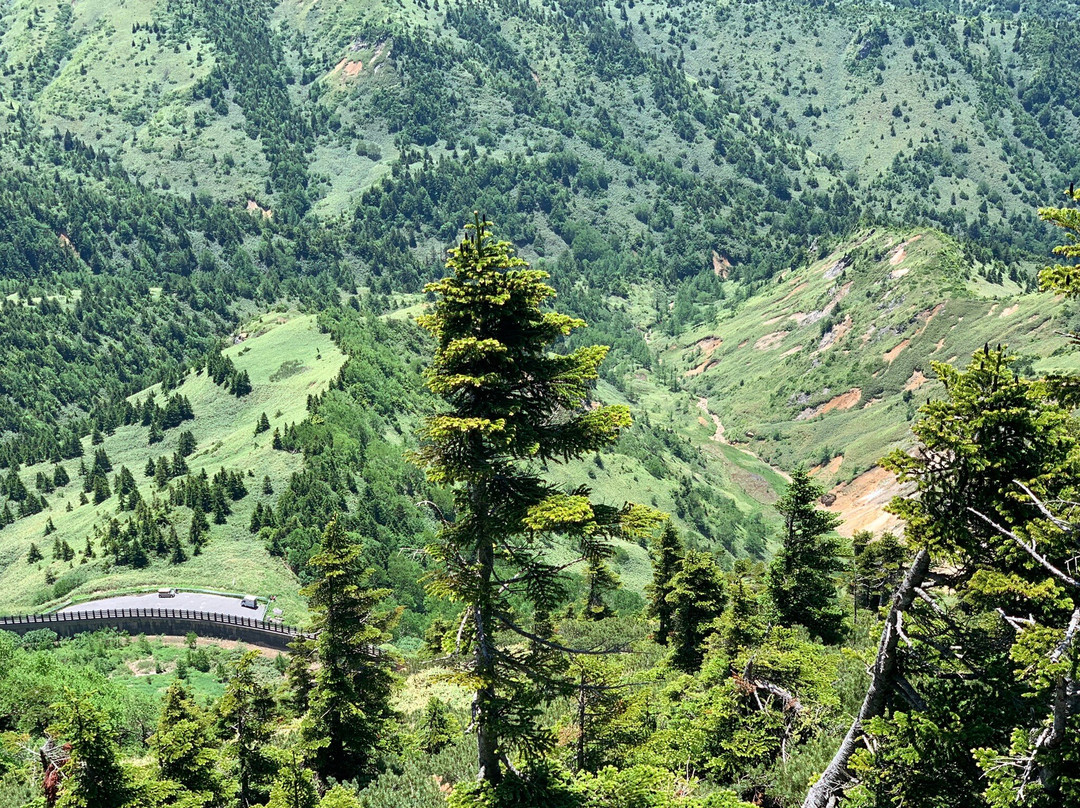 Mt. Yokote-山之内町必去景点