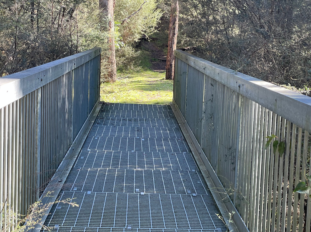 Candlebark Nature Trail-Eildon必去景点