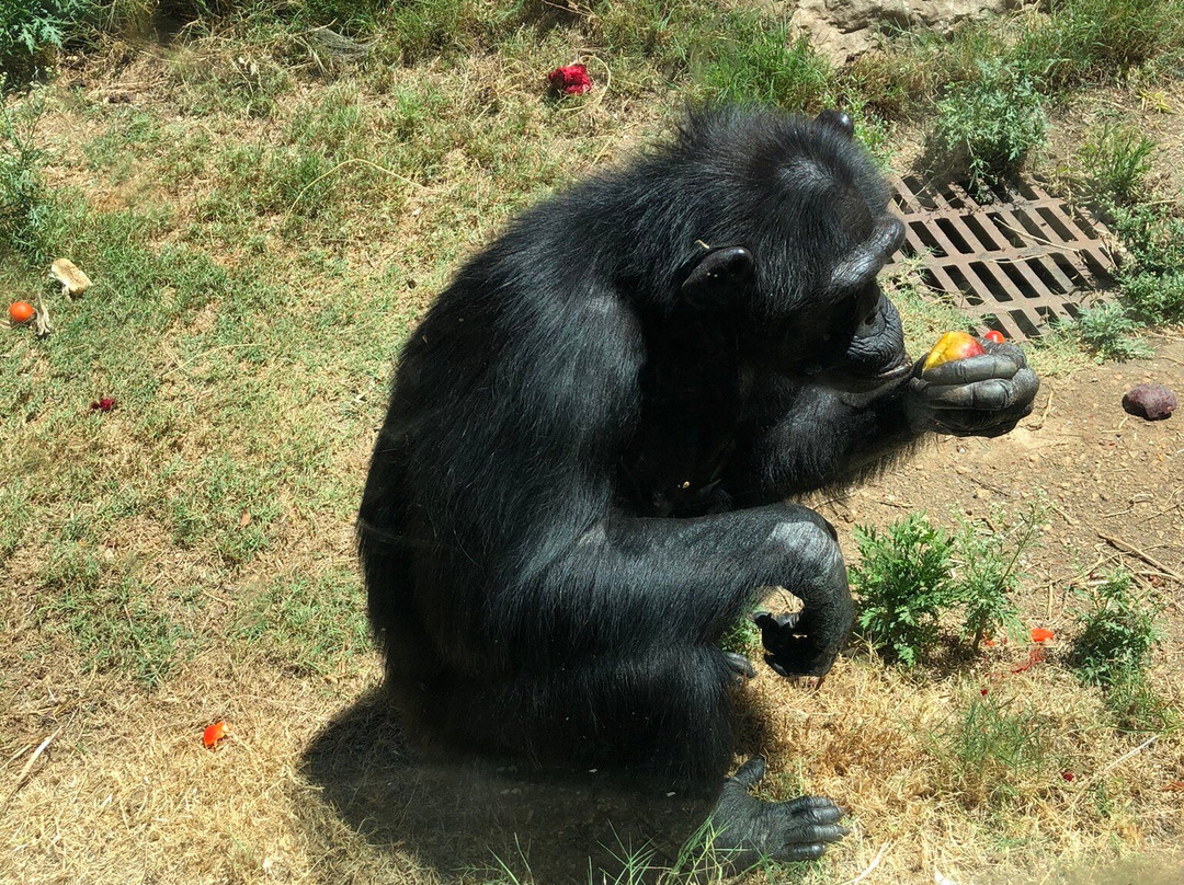 Ramat Gan National Park-拉马干必去景点