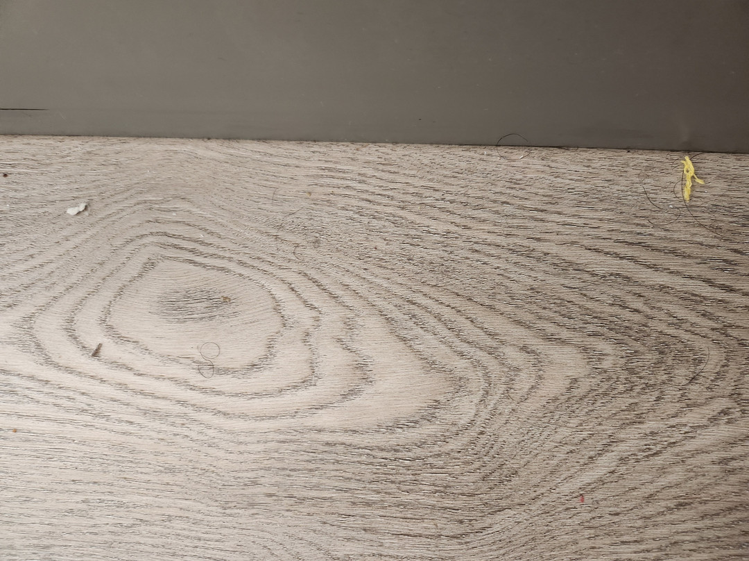 Best Western Plus South Hill Inn主图