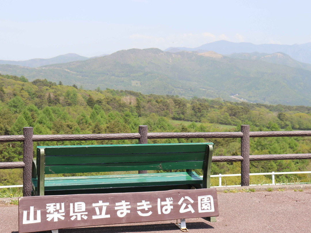 Makiba Park景点图片