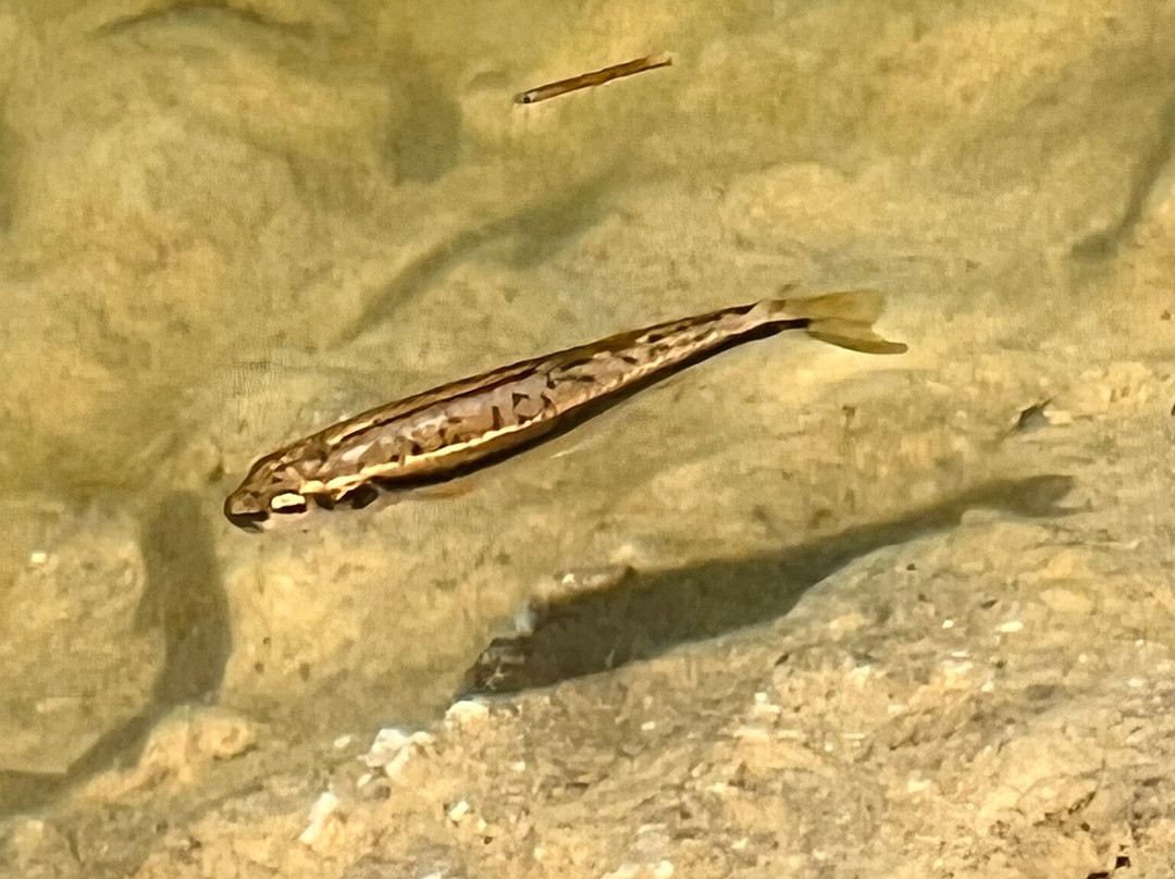 Lago Terrasole-Limone Piemonte必去景点