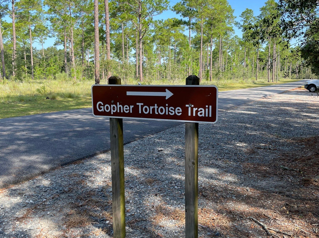 Reed Bingham State Park-Adel必去景点