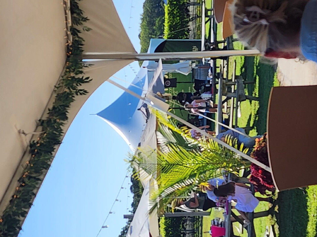Hawk Haven Vineyard and Winery景点图片