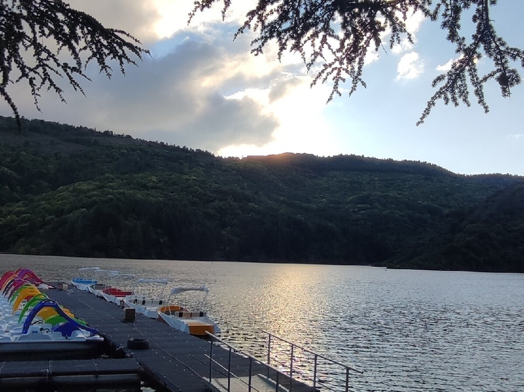 Lac de Villefort-Villefort必去景点