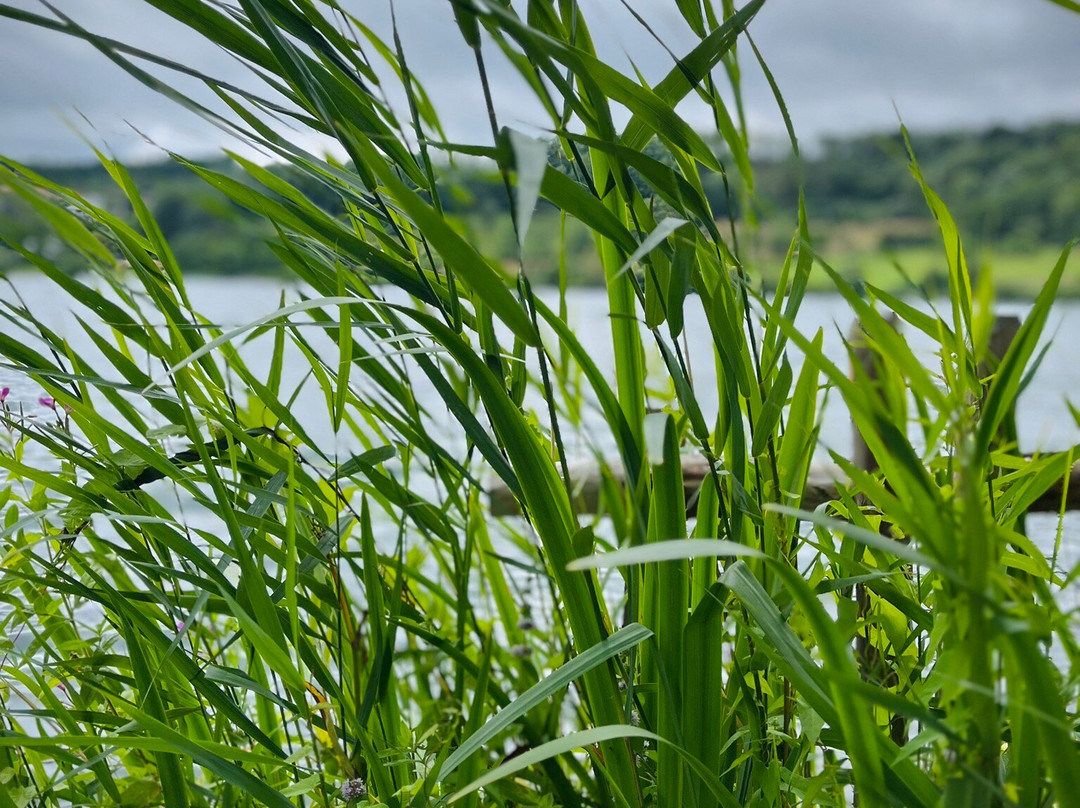 Michels Wohlfuehlhotel主图