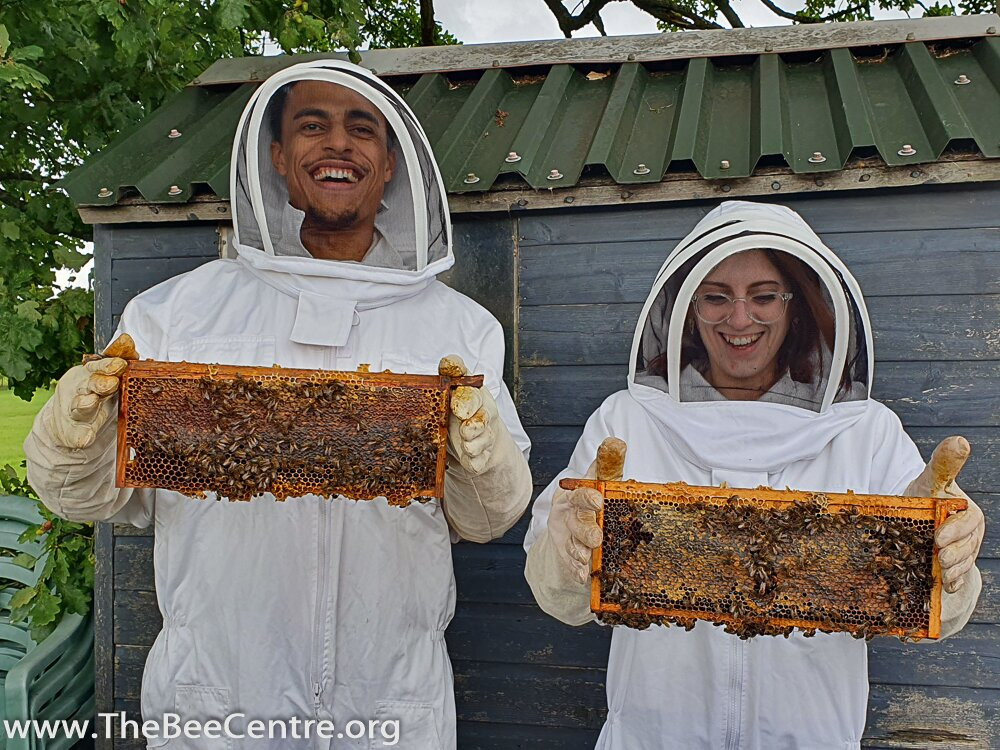 The Bee Centre-乔利必去景点
