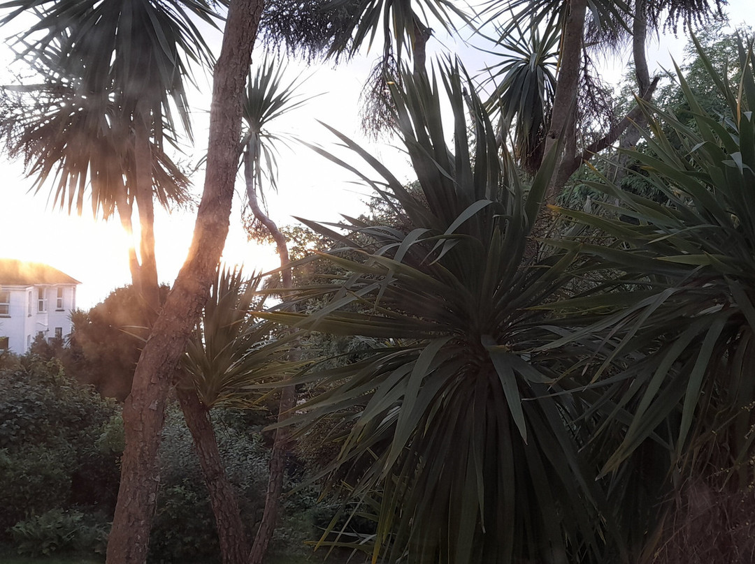 梅德汉斯德酒店主图