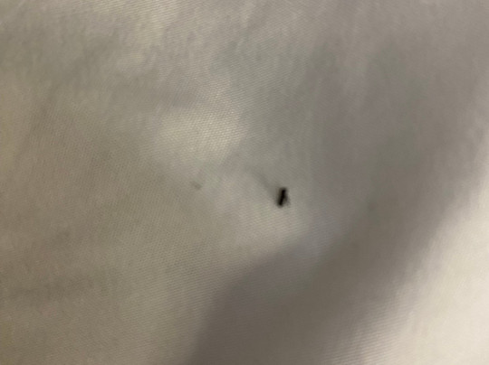 Econo Lodge Elizabeth City