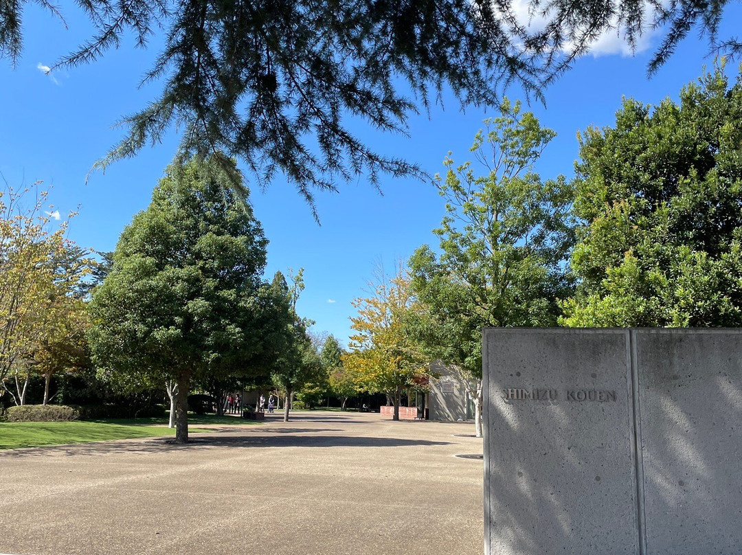 Shimizu Park-野田市必去景点