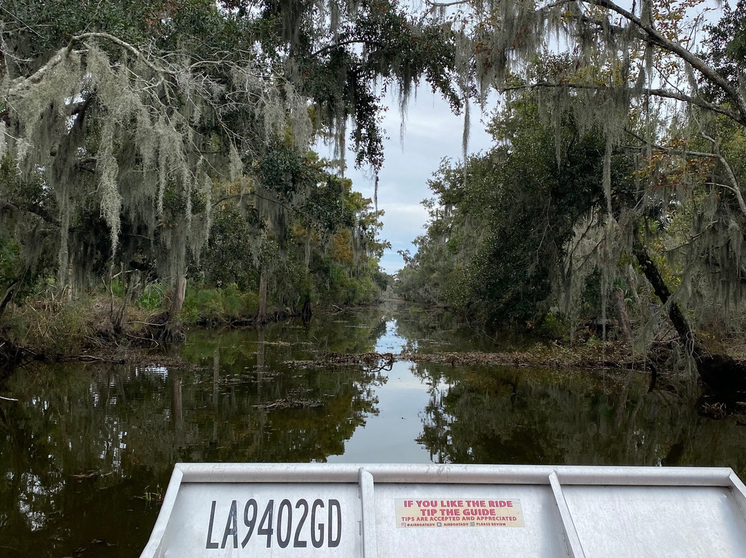 Airboat Adventures景点图片