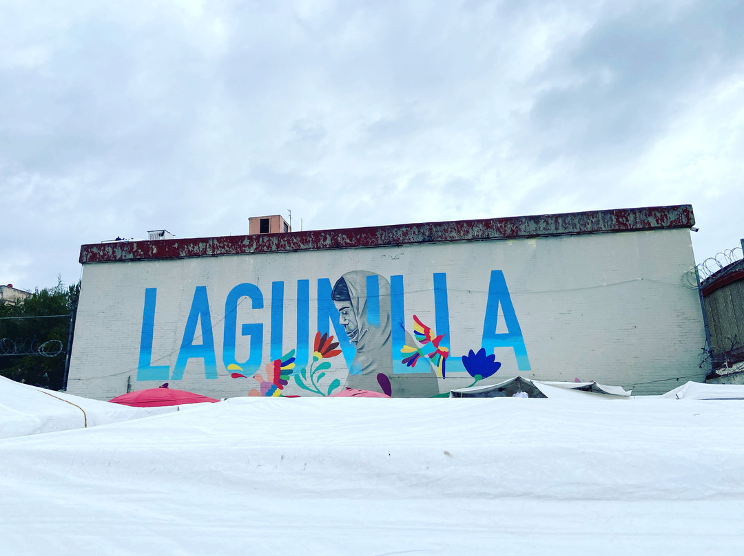 La Lagunilla Market景点图片