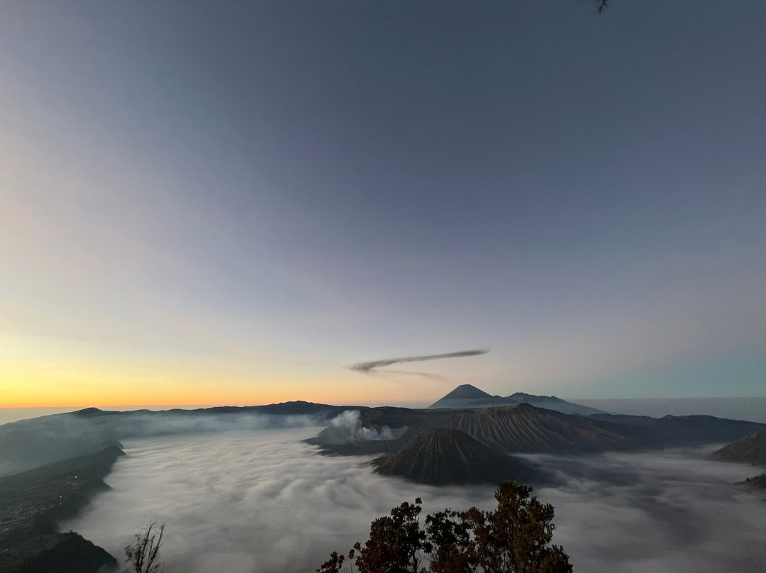 Bromo Ijen Tourist Friends-西多尔佐必去景点
