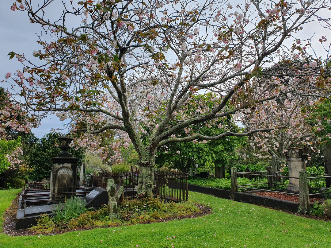 Te Henui Cemetery-新普利默斯必去景点